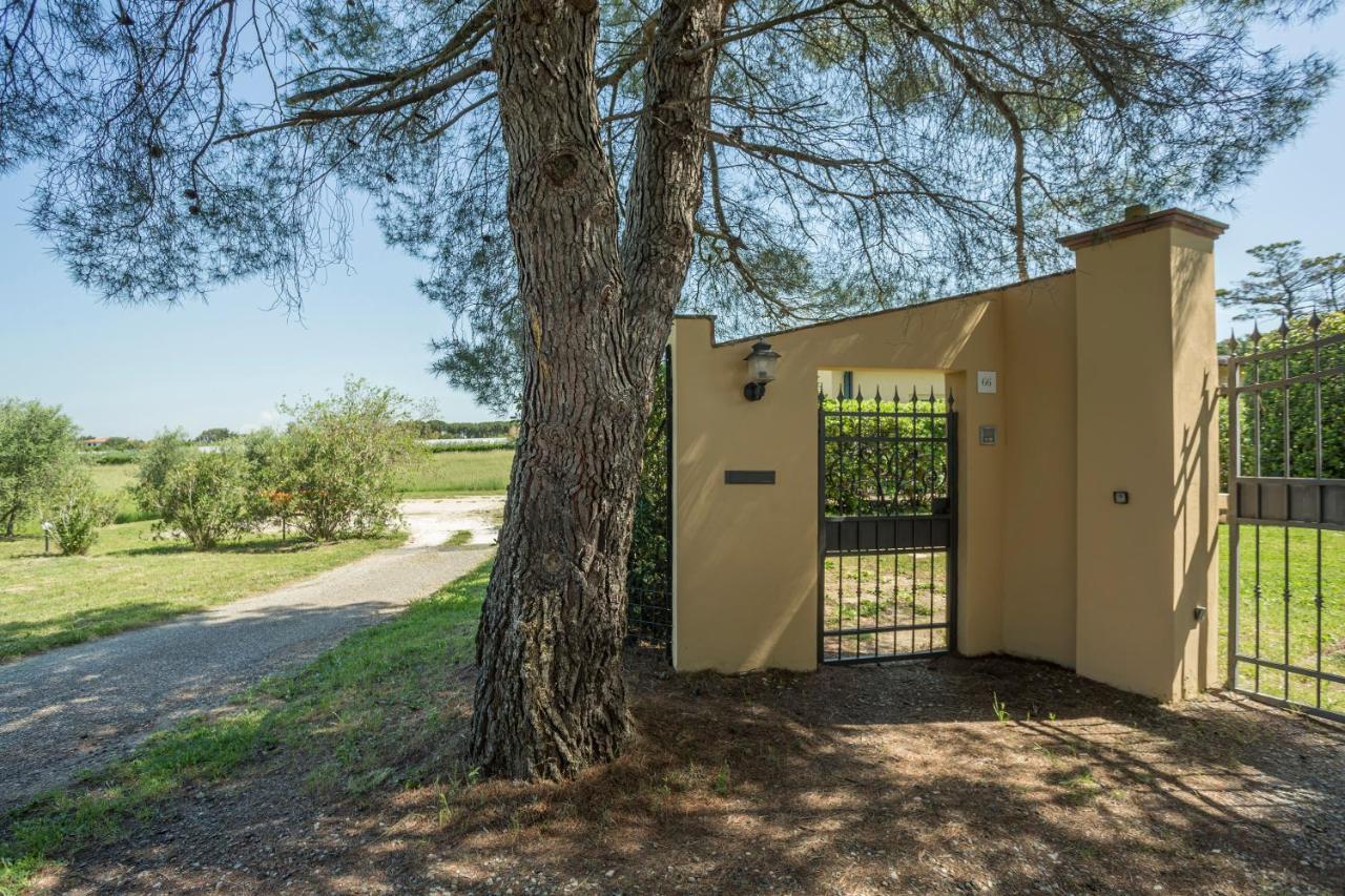 Podere Belvedere Livorno Kültér fotó