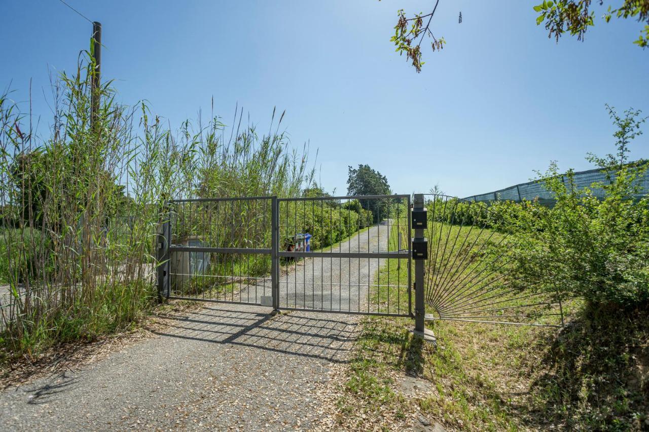 Podere Belvedere Livorno Kültér fotó