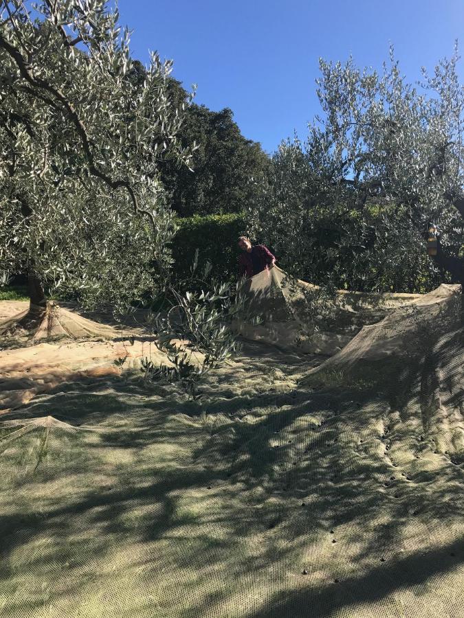 Podere Belvedere Livorno Kültér fotó